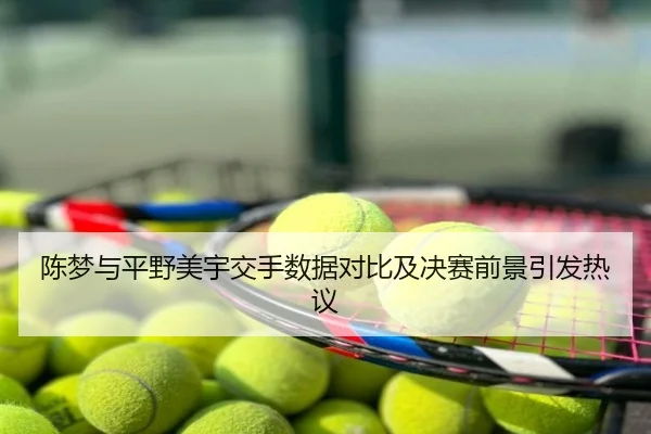 陈梦与平野美宇交手数据对比及决赛前景引发热议