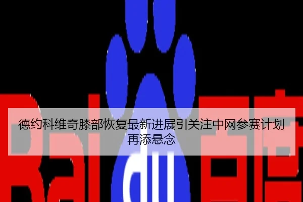 德约科维奇膝部恢复最新进展引关注中网参赛计划再添悬念